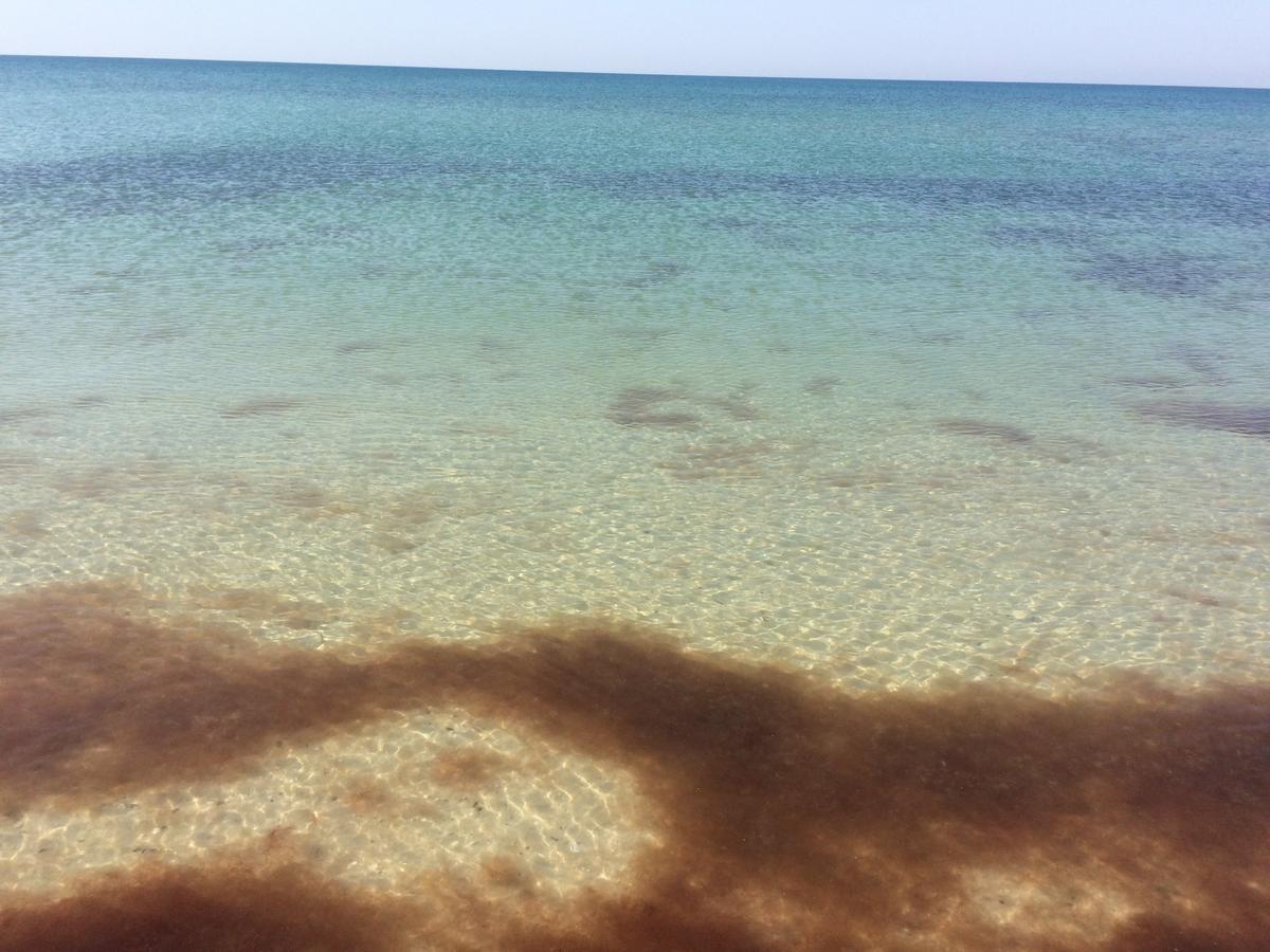 Olimp Hotel Zaliznij Port Kültér fotó
